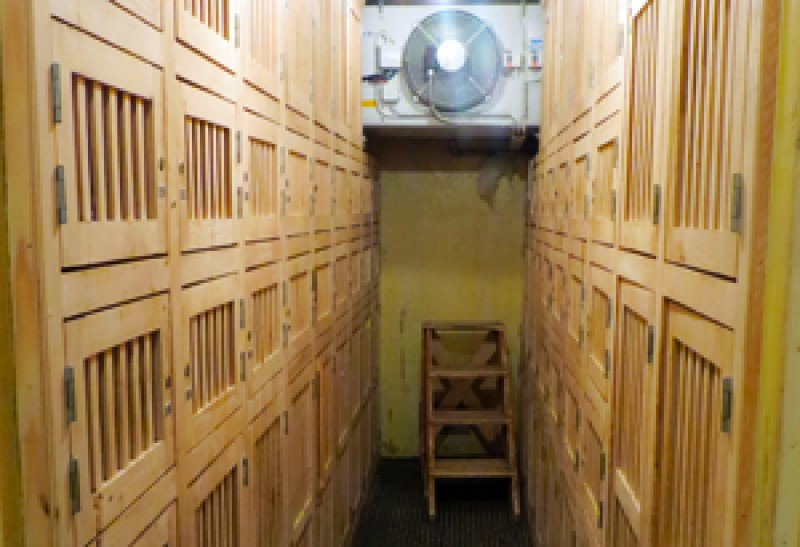 Congélateur communal